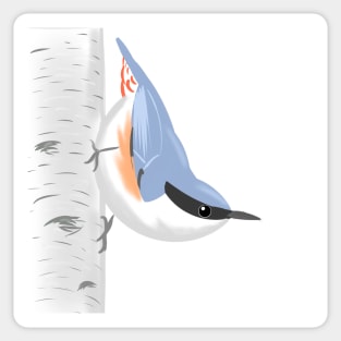 Eurasian nuthatch Sticker